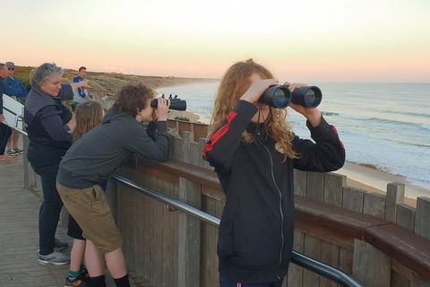 Warrnambool Wanderer Tour - Hotel Gold Coast 2