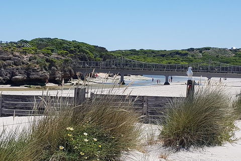 Warrnambool Wanderer Tour - Hotel Gold Coast 3