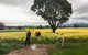 Grampians - Private Tour - thumb 3
