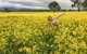 Grampians - Private Tour - thumb 1