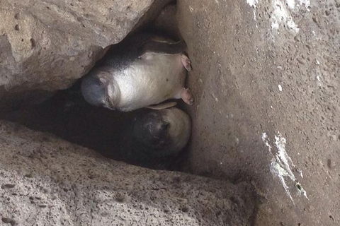 Food Tour Melbourne - St Kilda - Hotel Gold Coast 4