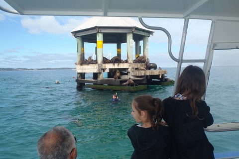 Sailing Cruise With Seals - Hotel Gold Coast 0
