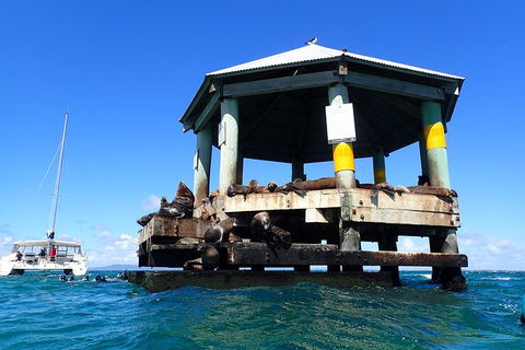 Sailing Cruise With Seals - Hotel Gold Coast 1