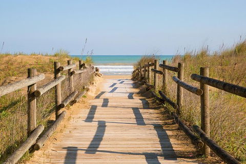 Cruise Ship Shore Excursion - Private Great Ocean Road Full Day Tour (12 Hour) - Hotel Gold Coast 0