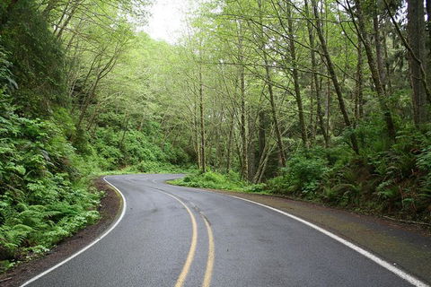 Cruise Ship Shore Excursion - Private Great Ocean Road Full Day Tour (12 Hour) - Hotel Gold Coast 1