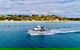 Half-Day Mornington Peninsula Dolphin And Seal Swim From Sorrento - thumb 1