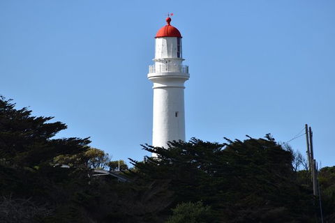 Great Ocean Road Tour Plus Koalas, Forest Walk And Morning Tea. - Hotel Gold Coast 1