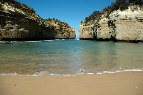Great Ocean Road Tour Plus Koalas, Forest Walk And Morning Tea. - Hotel Gold Coast 4