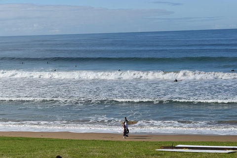 Great Ocean Road Tour Plus Koalas, Forest Walk And Morning Tea. - Hotel Gold Coast 9