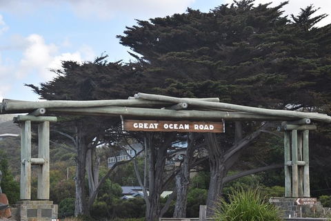 Great Ocean Road Tour Plus Koalas, Forest Walk And Morning Tea. - Hotel Gold Coast 7