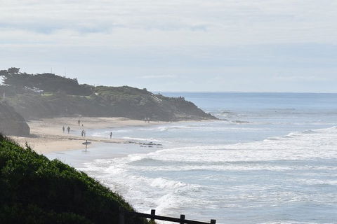 Great Ocean Road Tour Plus Koalas, Forest Walk And Morning Tea. - Hotel Gold Coast 10