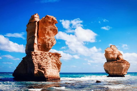 Great Ocean Road Tour Plus Koalas, Forest Walk And Morning Tea. - Hotel Gold Coast 11