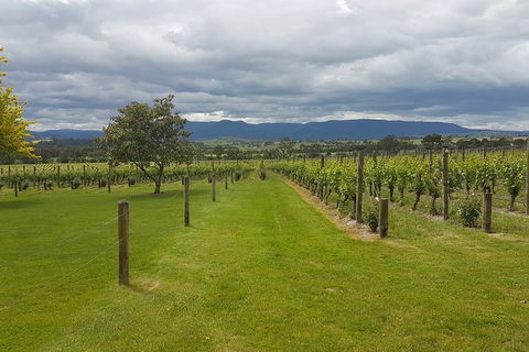 Yarra Valley Private Tour - Hotel Gold Coast 0