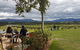 Yarra Valley Private Tour - thumb 5