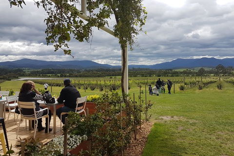 Yarra Valley Private Tour - Hotel Gold Coast 5