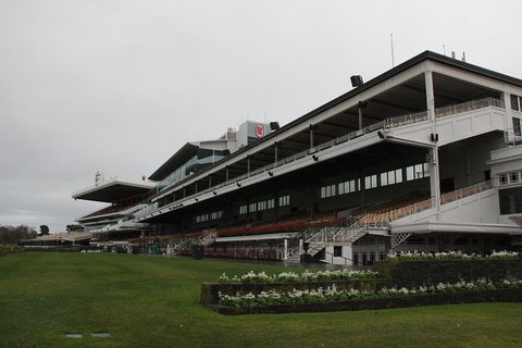 Ultimate Sports Lovers Bus Tour Of Melbourne - Hotel Gold Coast 10