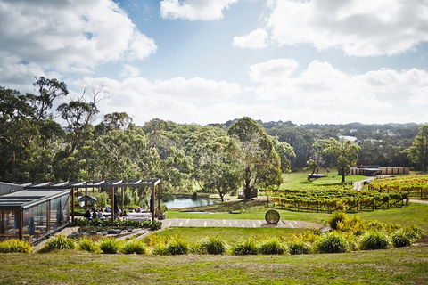 Mornington Peninsula 2-6 Guests Lunch, Wine And Pt Leo Estate Art Walk - Hotel Gold Coast 2