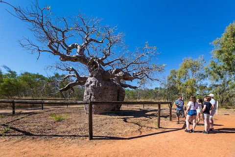 5 Day Bungle Bungles & Cattle Station Explorer - Hotel Gold Coast 2