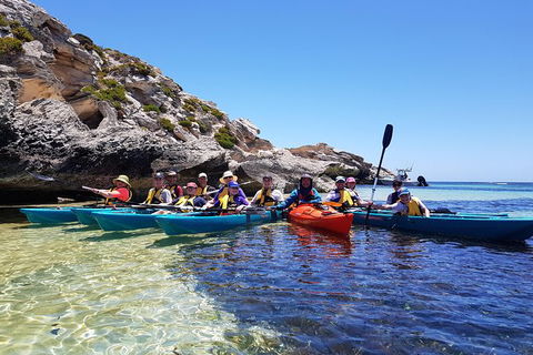 Rottnest Glass Bottom Kayaking Tour - Hotel Gold Coast 0