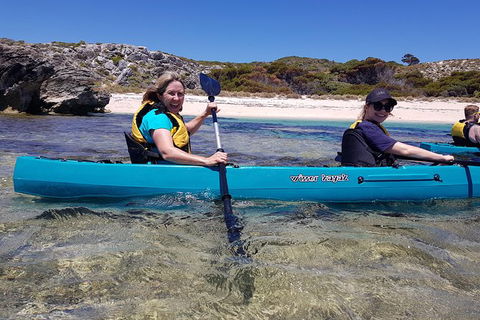 Rottnest Glass Bottom Kayaking Tour - Hotel Gold Coast 2