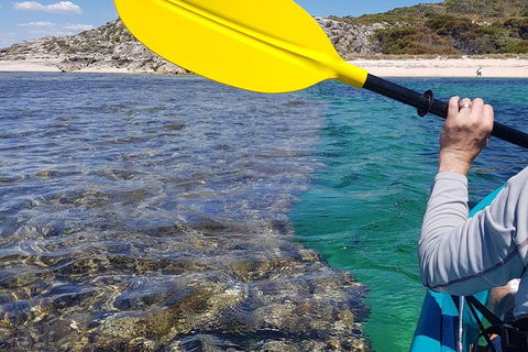 Rottnest Glass Bottom Kayaking Tour - Hotel Gold Coast 3