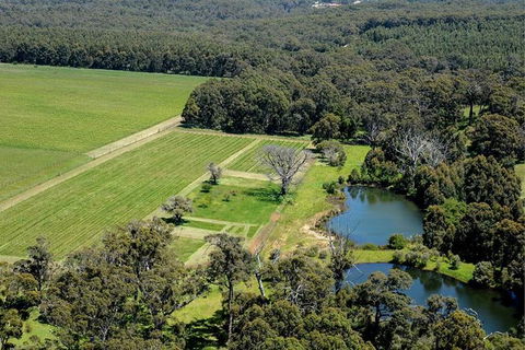 Half Day Wine & Food Tour - Hotel Gold Coast 6