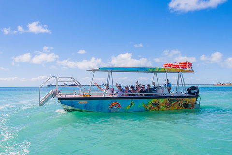 Dinosaur Adventure Tour - Hotel Gold Coast 3