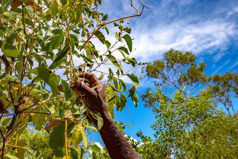 Mitchell Falls And Kimberley Coastal Camp (3night) - Hotel Gold Coast 2