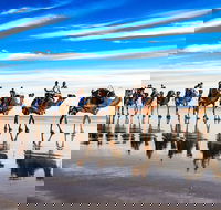 Broome Pre-sunset Camel Tour 30 minutes - Hotel Gold Coast