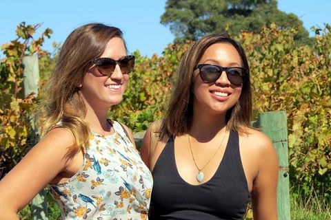 Margaret River Beer & Wine Adventure (departs Dunsborough/Busselton) - Hotel Gold Coast 1