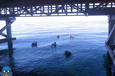 PADI Open Water Course - Hotel Gold Coast 3