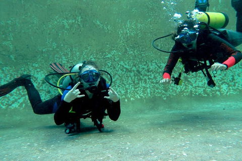 PADI Open Water Course - Hotel Gold Coast 4