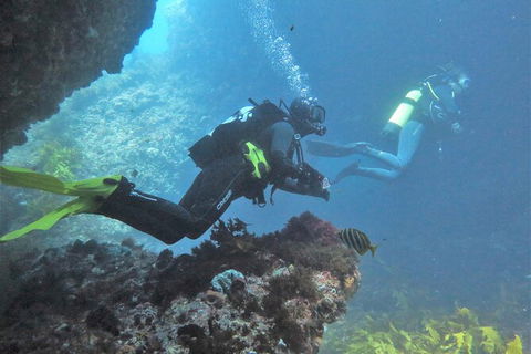 PADI Open Water Course - Hotel Gold Coast 2