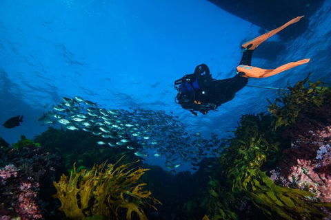 Become A PADI Open Water Diver In 3 Days In Perth - Hotel Gold Coast 1