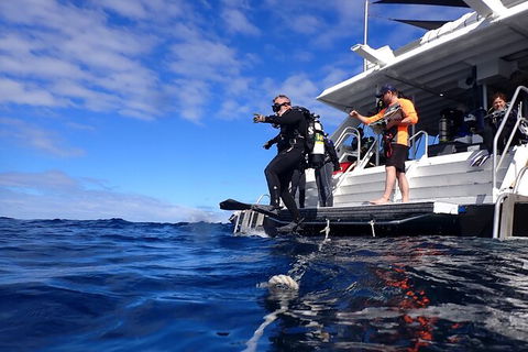 Become A PADI Open Water Diver In 3 Days In Perth - Hotel Gold Coast 0