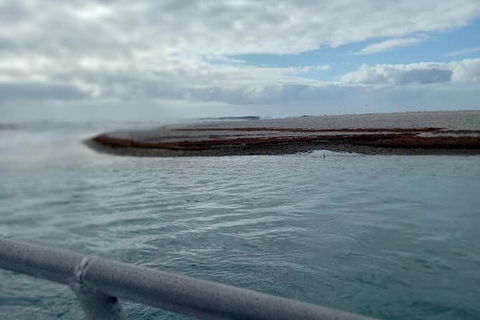 Abrolhos Islands Fishing Charter - Hotel Gold Coast 6