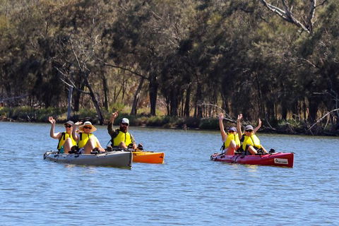 Private Guided River Kayak Tour - Hotel Gold Coast 0