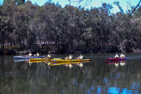 Private Guided River Kayak Tour - Hotel Gold Coast 5