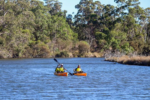 Private Guided River Kayak Tour - Hotel Gold Coast 7