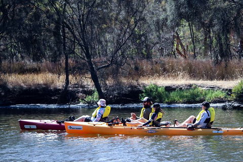 Private Guided River Kayak Tour - Hotel Gold Coast 3