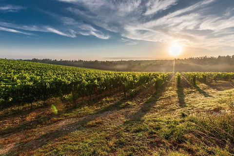 Perth To Margaret River Wine Tour - 2 Day Premium Boutique Wine Tour Experience - Hotel Gold Coast 0