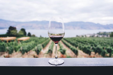 Full-Day Gourmet Wine Tour With Pick Up And Lunch - Hotel Gold Coast 1