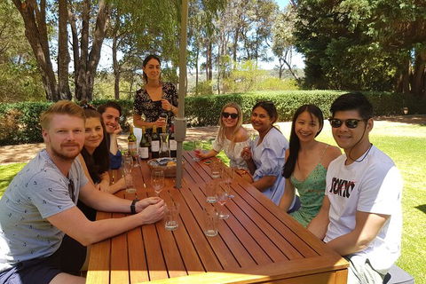 Full-Day Gourmet Wine Tour With Pick Up And Lunch - Hotel Gold Coast 5