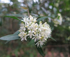 Booderee National Park - Hotel Gold Coast 0