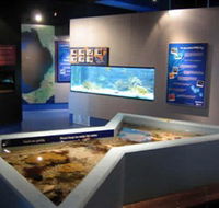 Marine and Freshwater Discovery Centre - Hotel Gold Coast