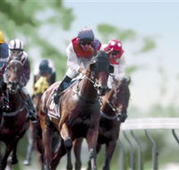 Colac Turf Club - Hotel Gold Coast