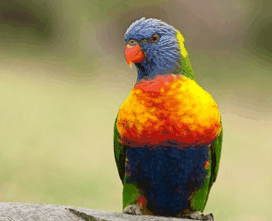 Booderee National Park - Hotel Gold Coast 1