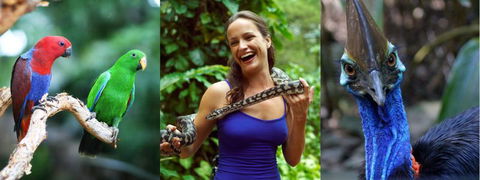 Wildlife Habitat - Hotel Gold Coast 1