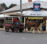 Bathurst Farm Experience - Hotel Gold Coast