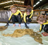 Australian Shark and Ray Centre - Hotel Gold Coast